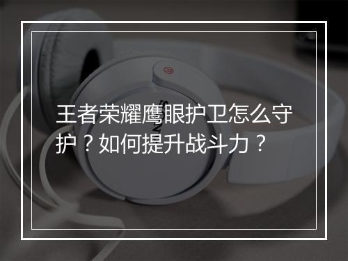 王者荣耀鹰眼护卫怎么守护？如何提升战斗力？