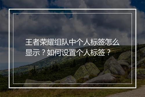 王者荣耀组队中个人标签怎么显示？如何设置个人标签？