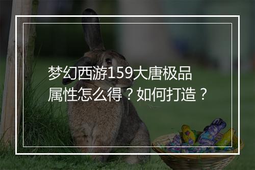 梦幻西游159大唐极品属性怎么得?如何打造?