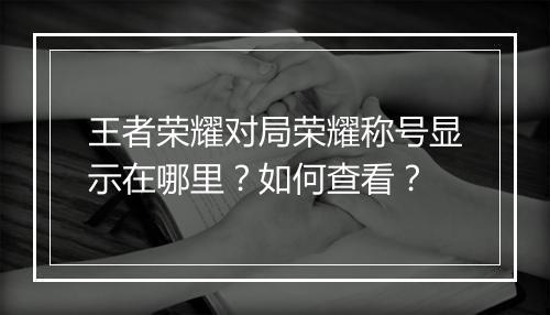 王者荣耀对局荣耀称号显示在哪里?如何查看?