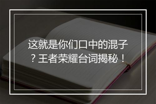 这就是你们口中的混子？王者荣耀台词揭秘！