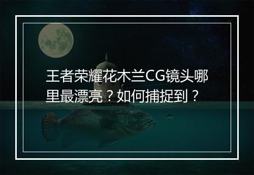 王者荣耀花木兰CG镜头哪里最漂亮？如何捕捉到？