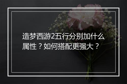 造梦西游2五行分别加什么属性?如何搭配更强大?