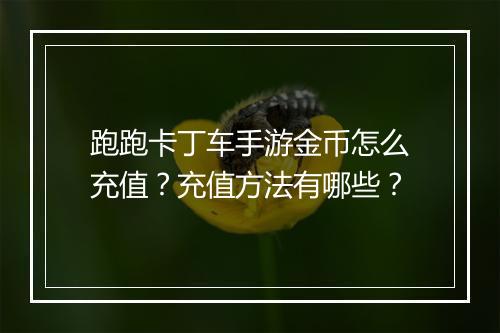 跑跑卡丁车手游金币怎么充值？充值方法有哪些？