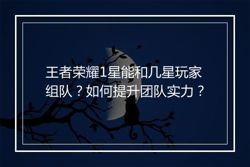 王者荣耀1星能和几星玩家组队?如何提升团队实力?