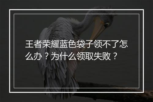 王者荣耀蓝色袋子领不了怎么办?为什么领取失败?