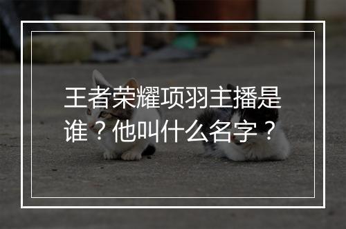 王者荣耀项羽主播是谁?他叫什么名字?