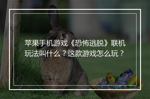 苹果手机游戏《恐怖逃脱》联机玩法叫什么?这款游戏怎么玩?