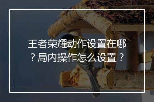 王者荣耀动作设置在哪？局内操作怎么设置？