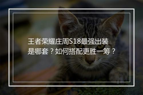 王者荣耀庄周S18最强出装是哪套?如何搭配更胜一筹?