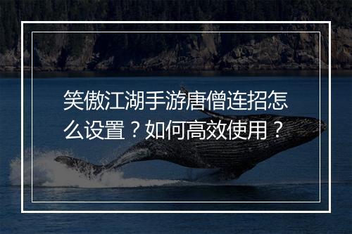 笑傲江湖手游唐僧连招怎么设置?如何高效使用?