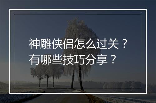 神雕侠侣怎么过关?有哪些技巧分享?