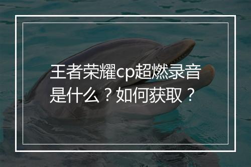 王者荣耀cp超燃录音是什么?如何获取?