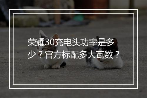 荣耀30充电头功率是多少?官方标配多大瓦数?