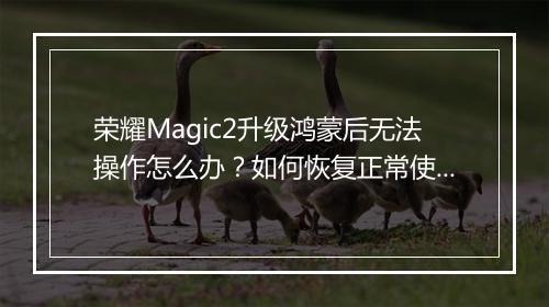 荣耀Magic2升级鸿蒙后无法操作怎么办?如何恢复正常使用?