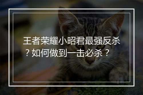 王者荣耀小昭君最强反杀?如何做到一击必杀?