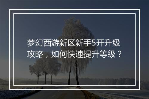 梦幻西游新区新手5开升级攻略,如何快速提升等级?