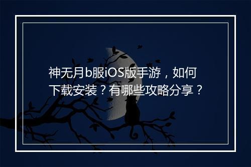 神无月b服iOS版手游,如何下载安装?有哪些攻略分享?