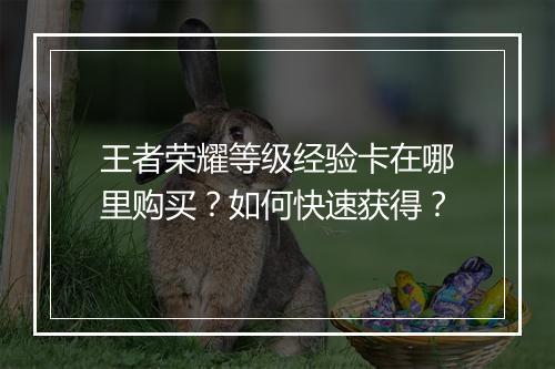 王者荣耀等级经验卡在哪里购买?如何快速获得?