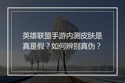 英雄联盟手游内测皮肤是真是假?如何辨别真伪?