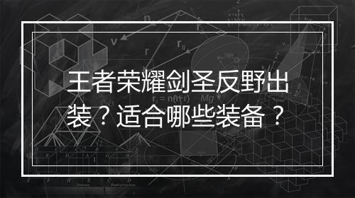 王者荣耀剑圣反野出装?适合哪些装备?