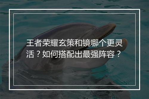 王者荣耀玄策和镜哪个更灵活?如何搭配出最强阵容?