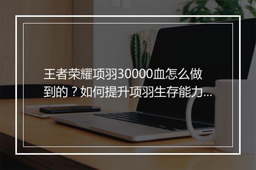 王者荣耀项羽30000血怎么做到的?如何提升项羽生存能力?