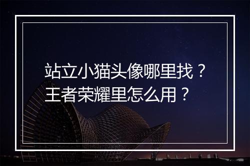 站立小猫头像哪里找?王者荣耀里怎么用?