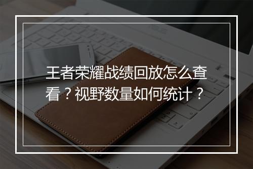 王者荣耀战绩回放怎么查看?视野数量如何统计?