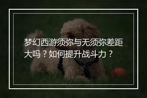 梦幻西游须弥与无须弥差距大吗?如何提升战斗力?