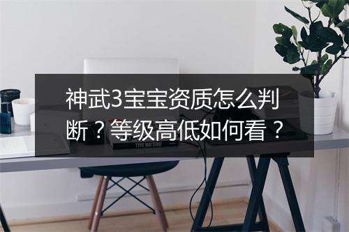 神武3宝宝资质怎么判断?等级高低如何看?