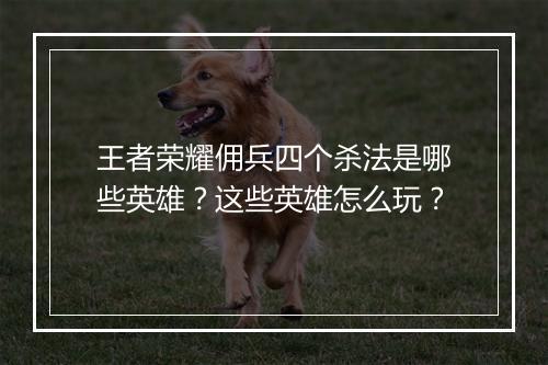 王者荣耀佣兵四个杀法是哪些英雄?这些英雄怎么玩?