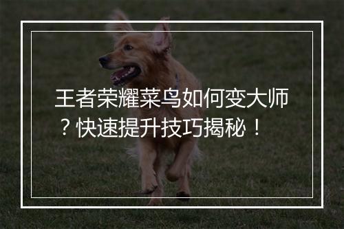 王者荣耀菜鸟如何变大师?快速提升技巧揭秘!