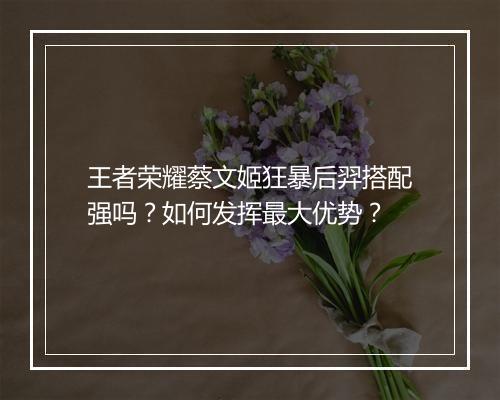 王者荣耀蔡文姬狂暴后羿搭配强吗?如何发挥最大优势?