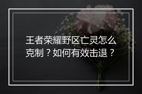 王者荣耀野区亡灵怎么克制?如何有效击退?