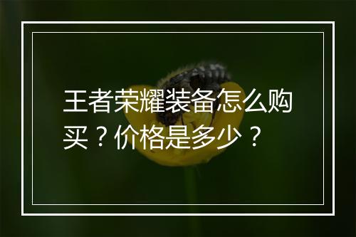 王者荣耀装备怎么购买?价格是多少?