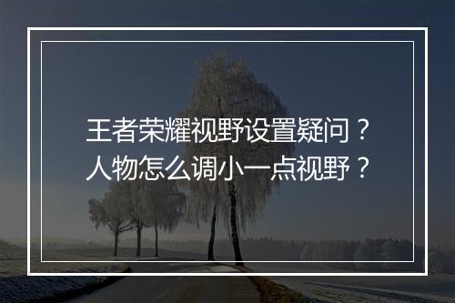 王者荣耀视野设置疑问?人物怎么调小一点视野?