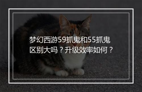 梦幻西游59抓鬼和55抓鬼区别大吗?升级效率如何?