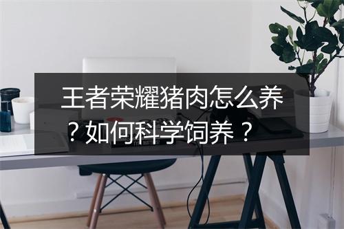 王者荣耀猪肉怎么养?如何科学饲养?