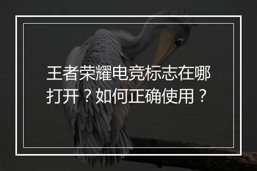 王者荣耀电竞标志在哪打开?如何正确使用?