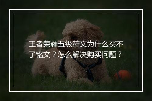 王者荣耀五级符文为什么买不了铭文?怎么解决购买问题?