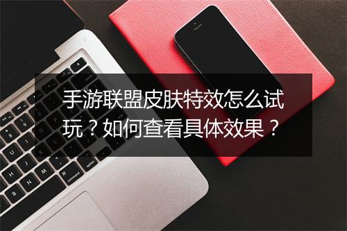 手游联盟皮肤特效怎么试玩?如何查看具体效果?
