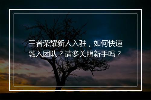 王者荣耀新人入驻,如何快速融入团队?请多关照新手吗?