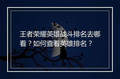 王者荣耀英雄战斗排名去哪看?如何查看英雄排名?