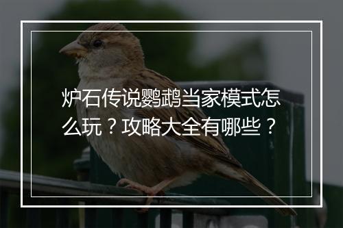 炉石传说鹦鹉当家模式怎么玩?攻略大全有哪些?