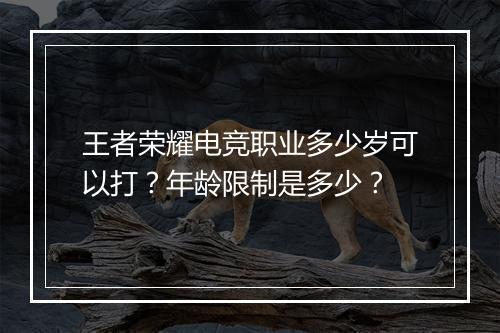 王者荣耀电竞职业多少岁可以打?年龄限制是多少?
