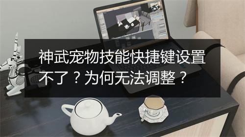 神武宠物技能快捷键设置不了?为何无法调整?