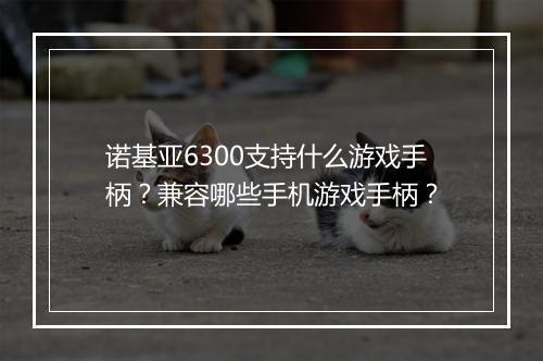 诺基亚6300支持什么游戏手柄？兼容哪些手机游戏手柄？