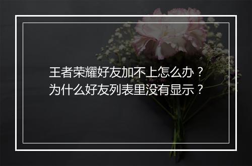 王者荣耀好友加不上怎么办？为什么好友列表里没有显示？