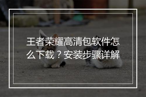 王者荣耀高清包软件怎么下载?安装步骤详解